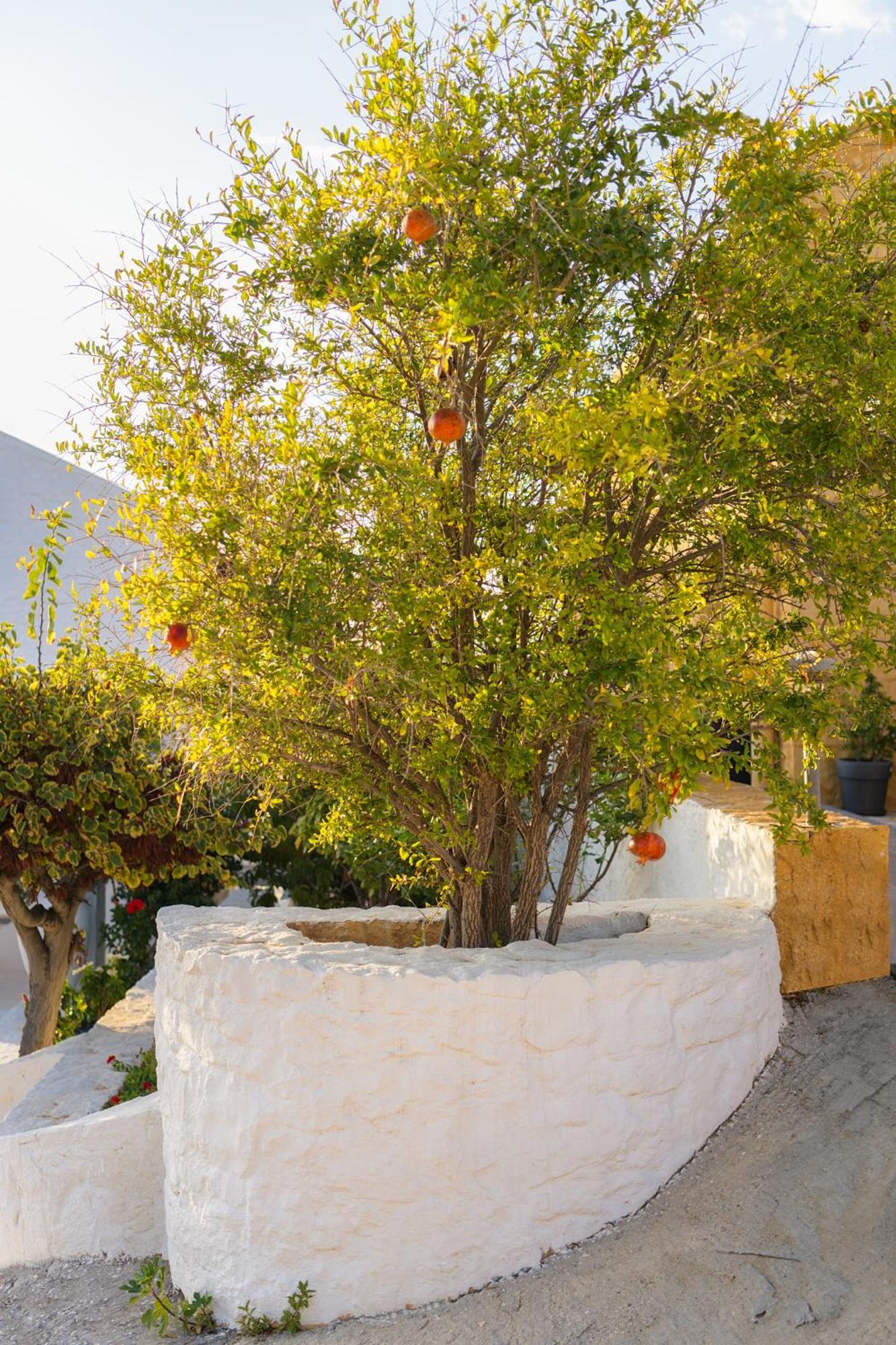 Villa Anton By Cura Villas Collection Kalathas Exterior foto